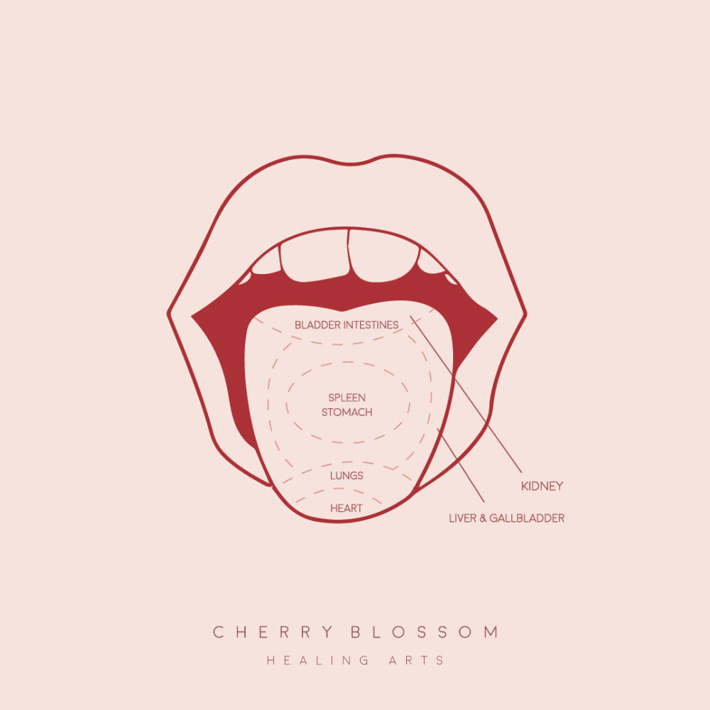 TCM Tongue Diagnosis chart