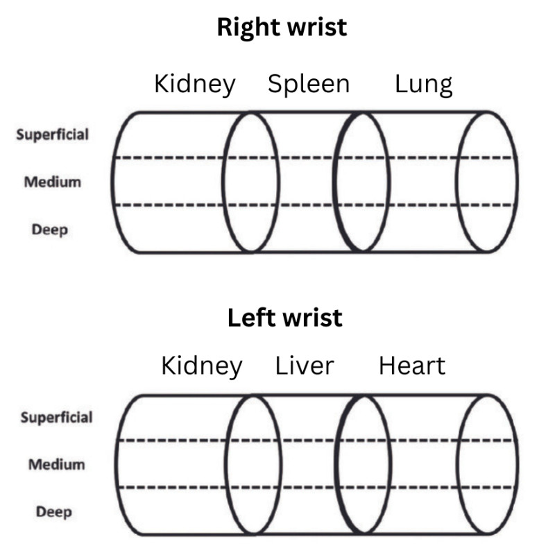 Pulse Diagnosis Chart